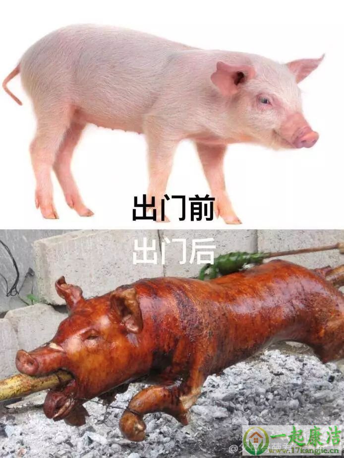 家务