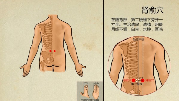 高脂肪饮食会加重肾损伤吗？高脂饮食为什么会导致肾脏损害？