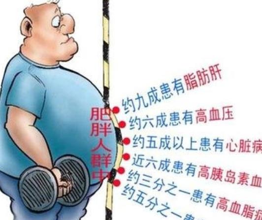 高血脂怎么调理 加强锻炼、减肥、少吃甜食脂肪