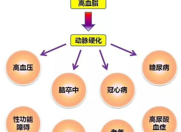 高血脂怎么调理 加强锻炼、减肥、少吃甜食脂肪