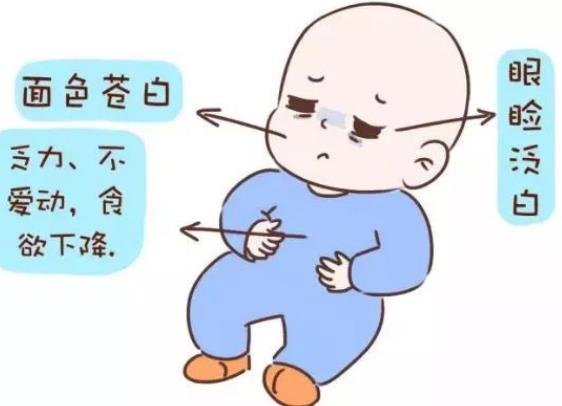 孩子贫血吃什么补血最快 饭后服用 铁剂 食疗