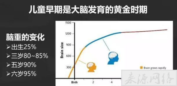 让孩子怎么吃才会促进大脑发育？了解下这些食物