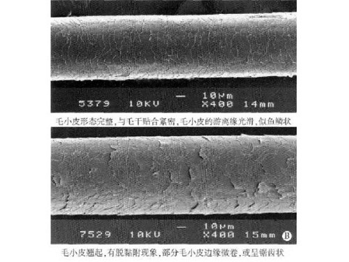 人人都说染发好？翻车风险可不少