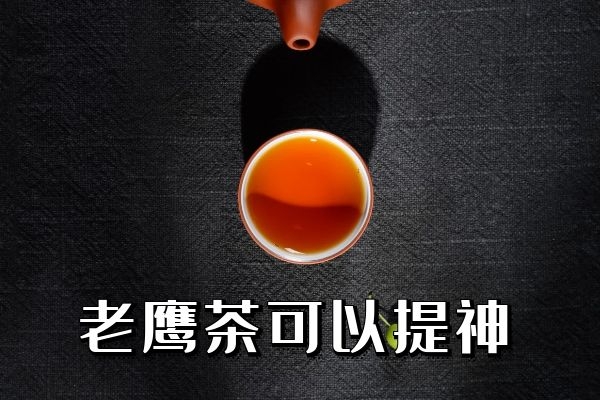 老鹰茶的功效与作用及禁忌有哪些？