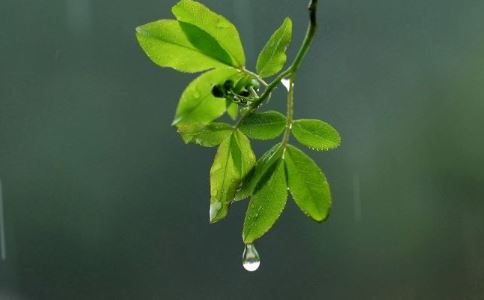 南方罕见持续阴雨 阴雨天气会诱发哪些疾病 阴雨天容易犯哪些病