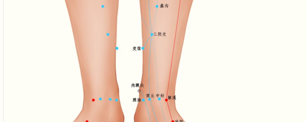 三阴交穴位的准确位置图