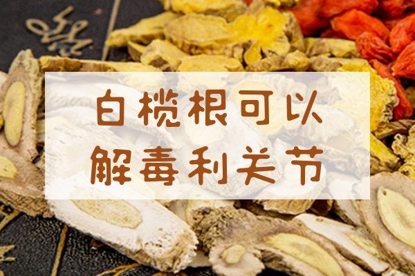 白榄根的功效与作用及禁忌有哪些？