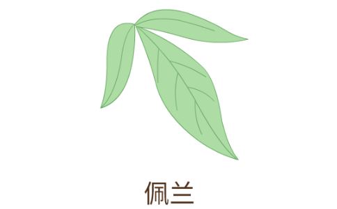 什么是芳香化湿药 芳香化湿药有哪些 芳香化湿药有什么效果