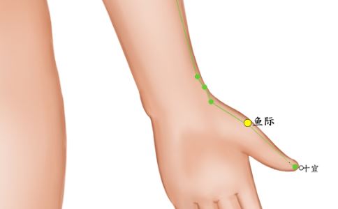 小鱼际穴功效 按压小鱼际穴的作用 小鱼际穴是哪个位置