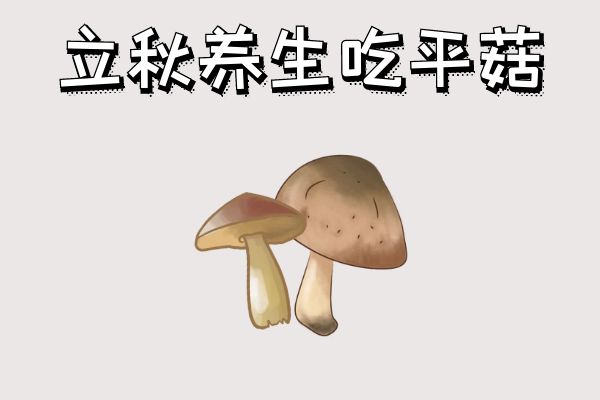 立秋养生吃什么？这几种食物可以多吃